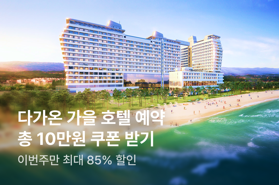 [호텔] 이번주 특가