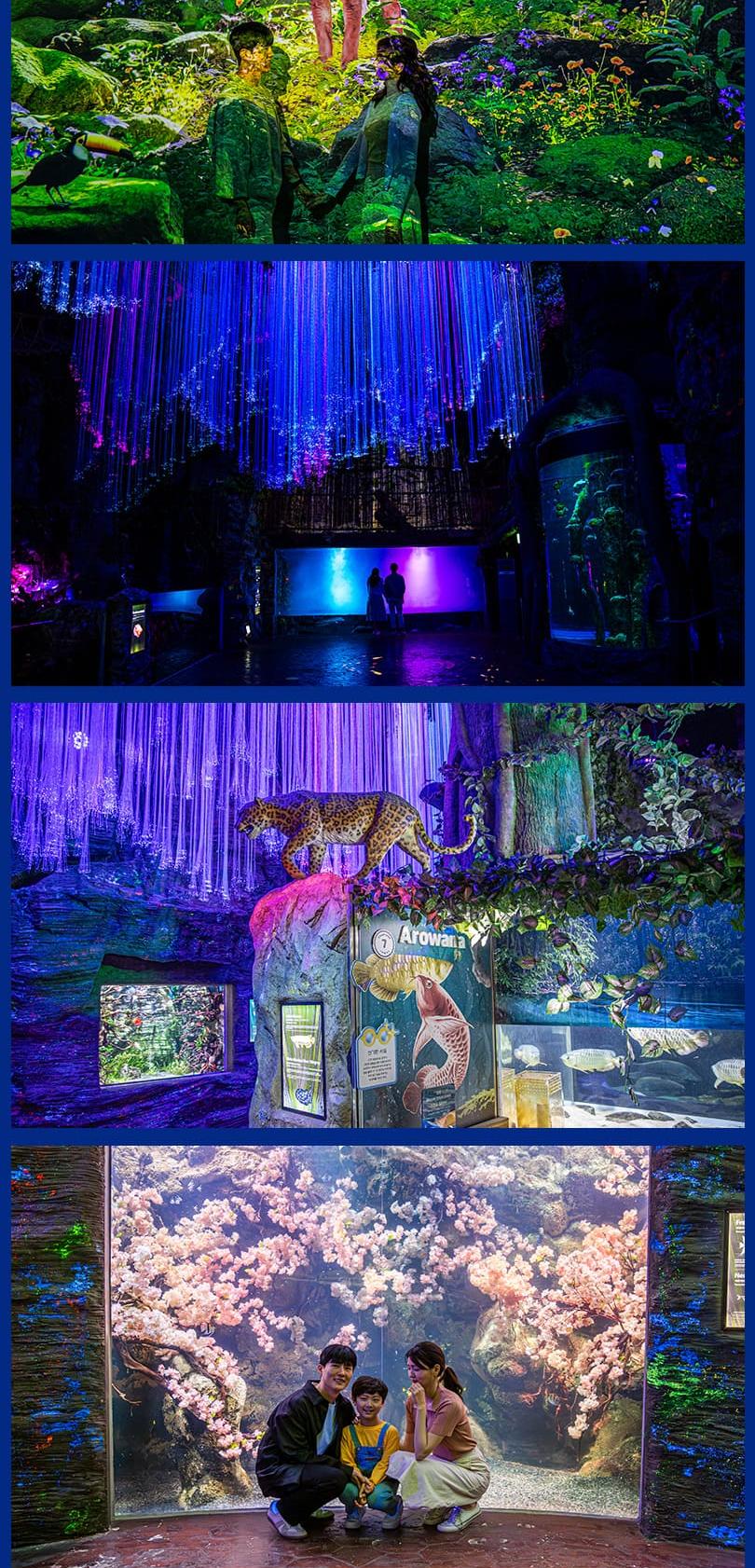 상품 상세 이미지 6