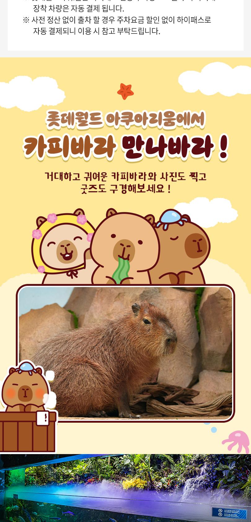 상품 상세 이미지 6