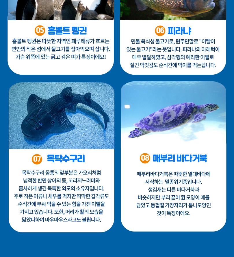 롯데월드 아쿠아리움&서울스카이 입장권