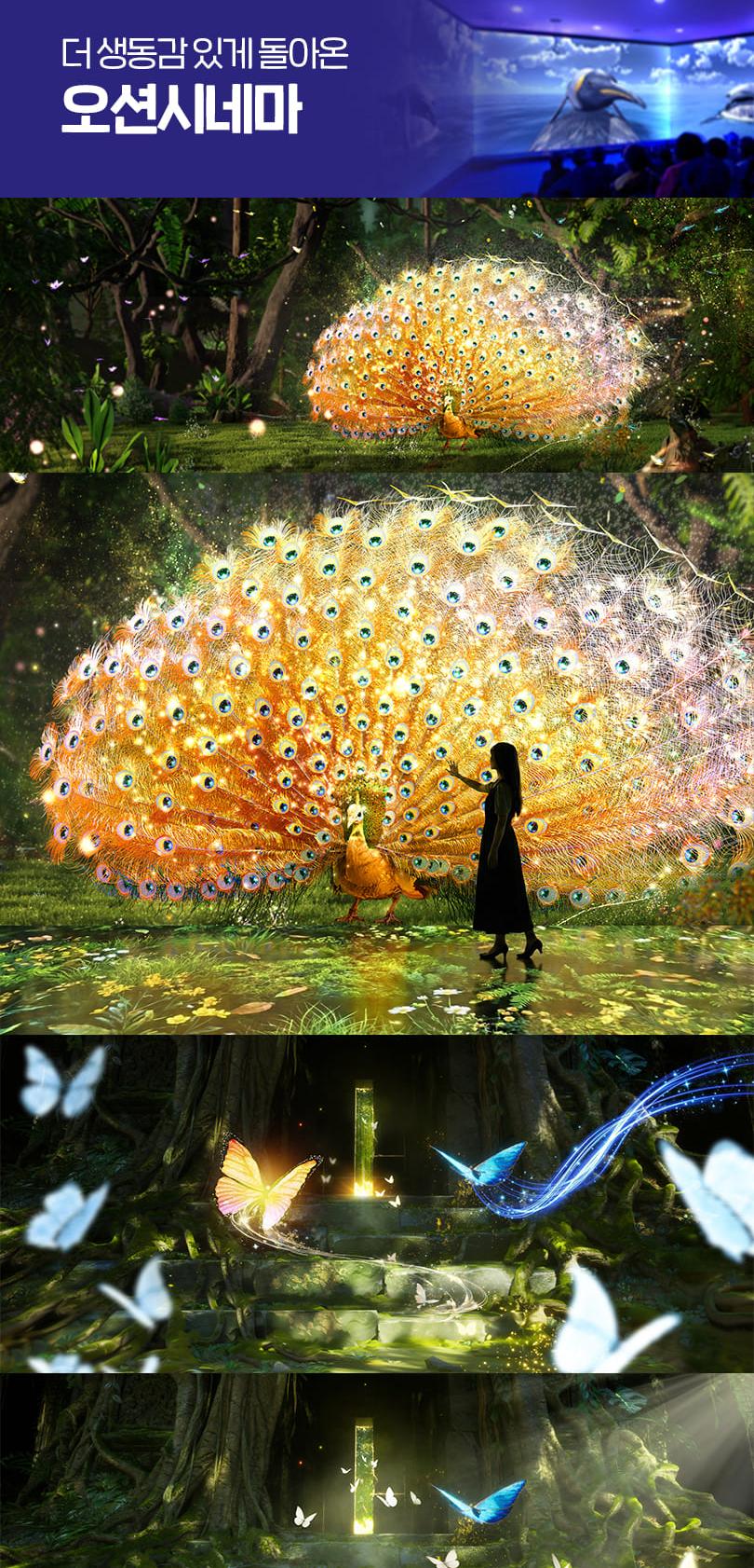 상품 상세 이미지 28