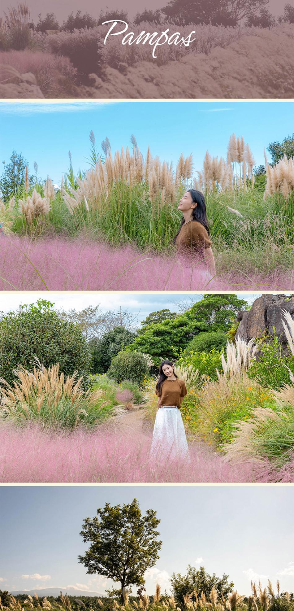 상품 상세 이미지 12