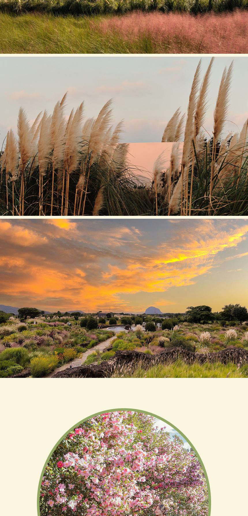 상품 상세 이미지 14