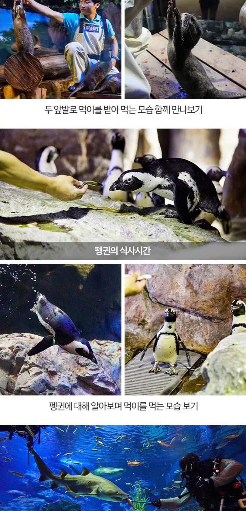 상품 상세 이미지 12