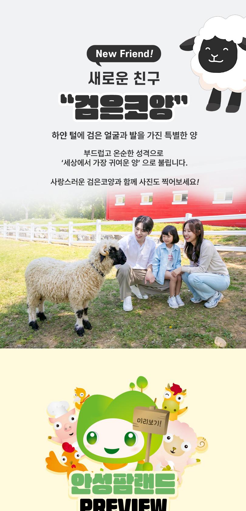 상품 상세 이미지 8