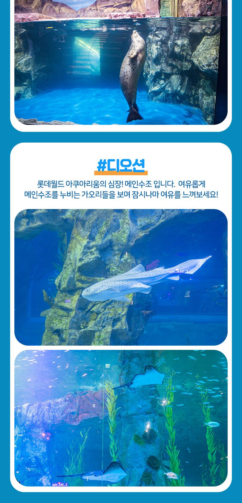 상품 상세 이미지 14