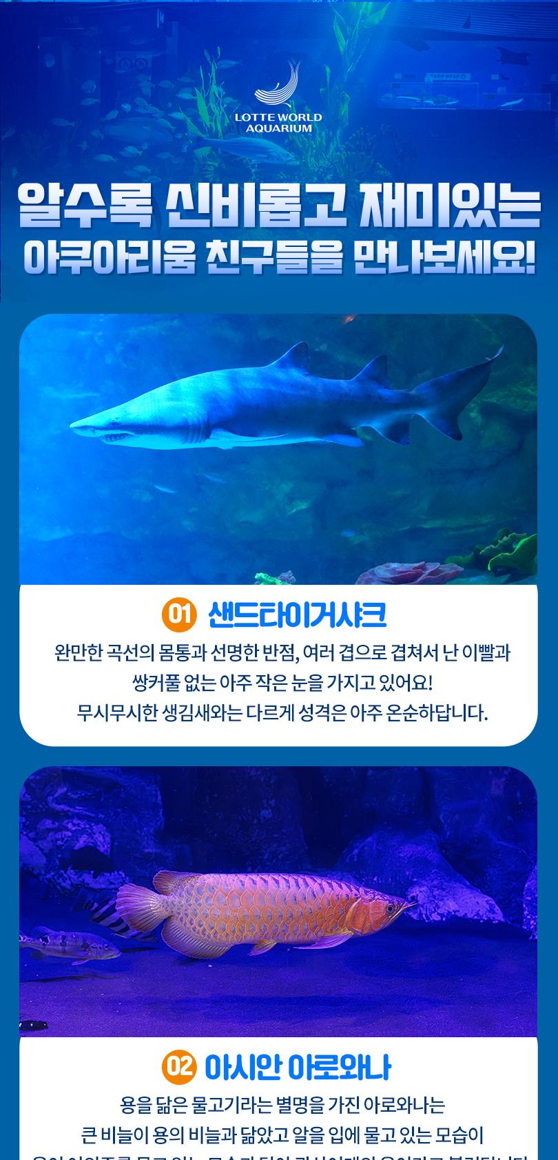 상품 상세 이미지 8