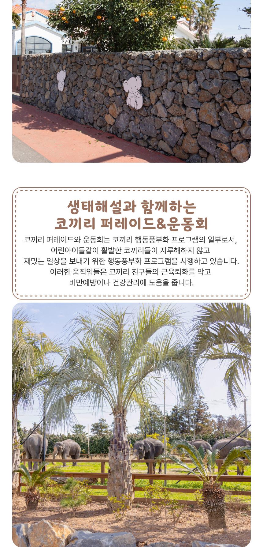 상품 상세 이미지 8