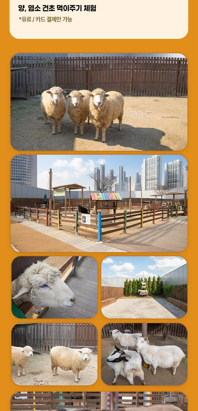 상품 상세 이미지 12