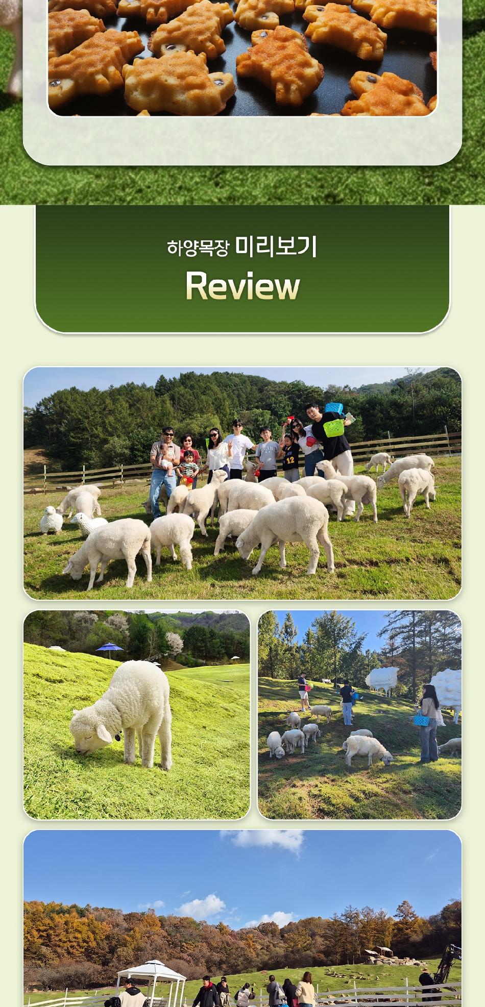 상품 상세 이미지 6