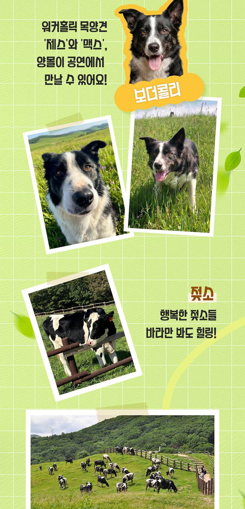 상품 상세 이미지 6