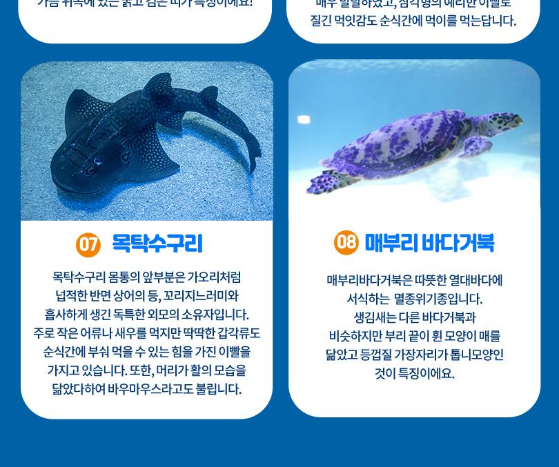 상품 상세 이미지 10