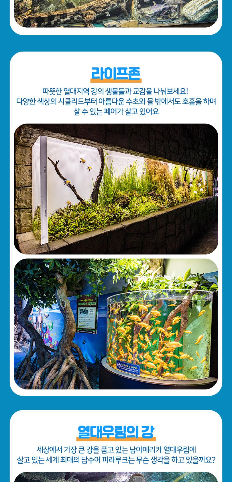 상품 상세 이미지 13