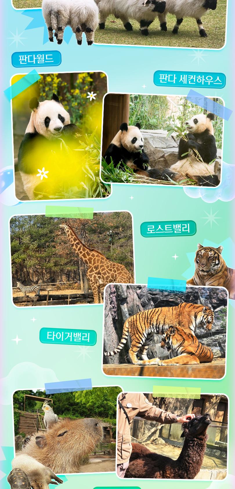 상품 상세 이미지 19