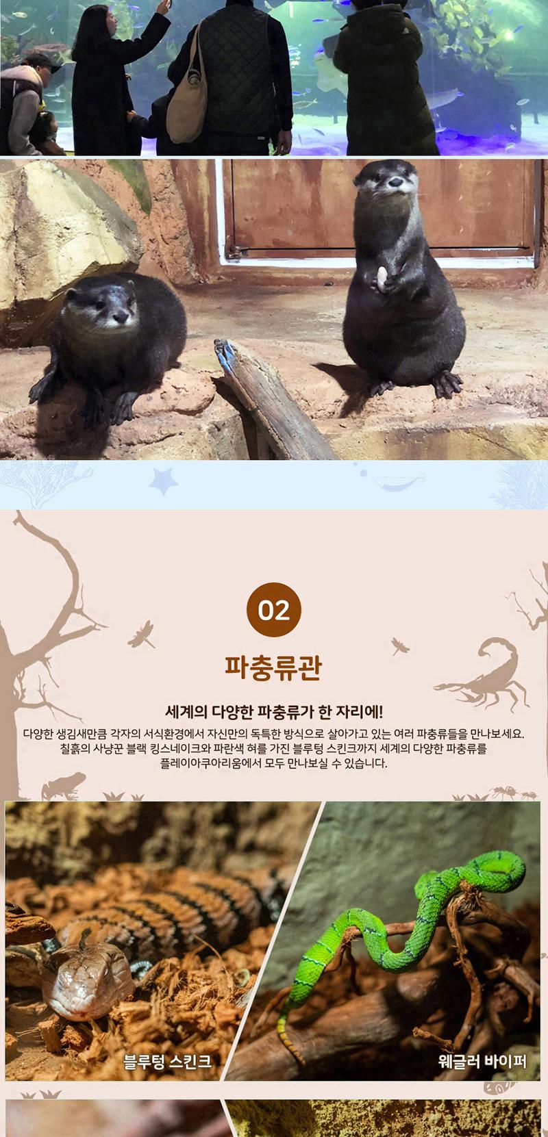 상품 상세 이미지 5