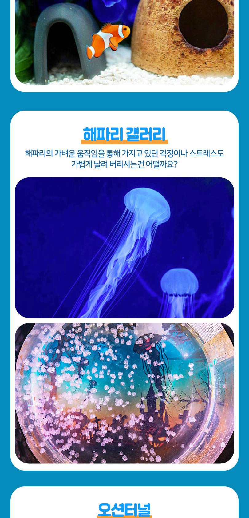 상품 상세 이미지 13