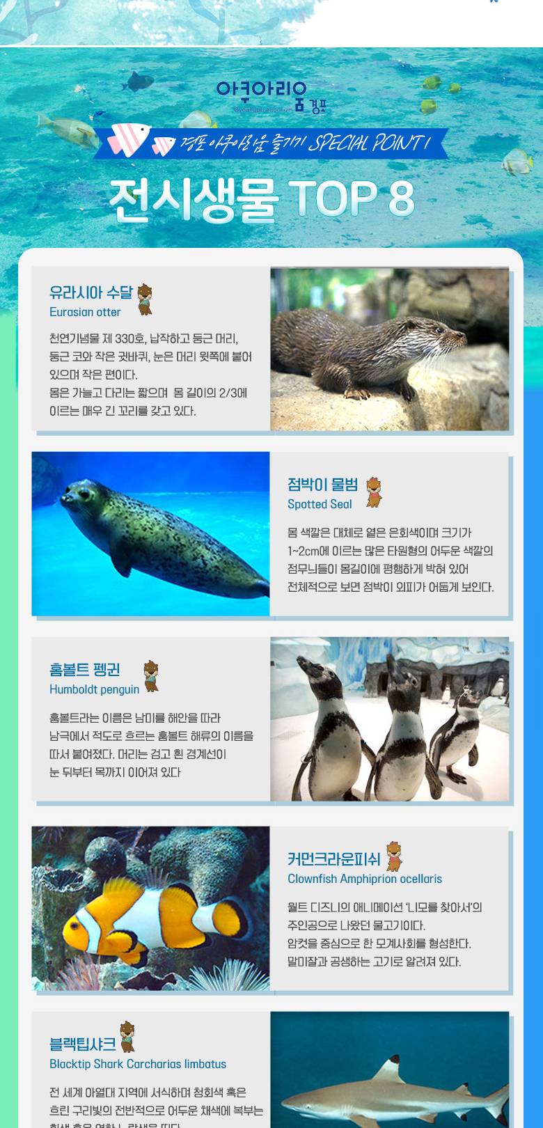 상품 상세 이미지 3