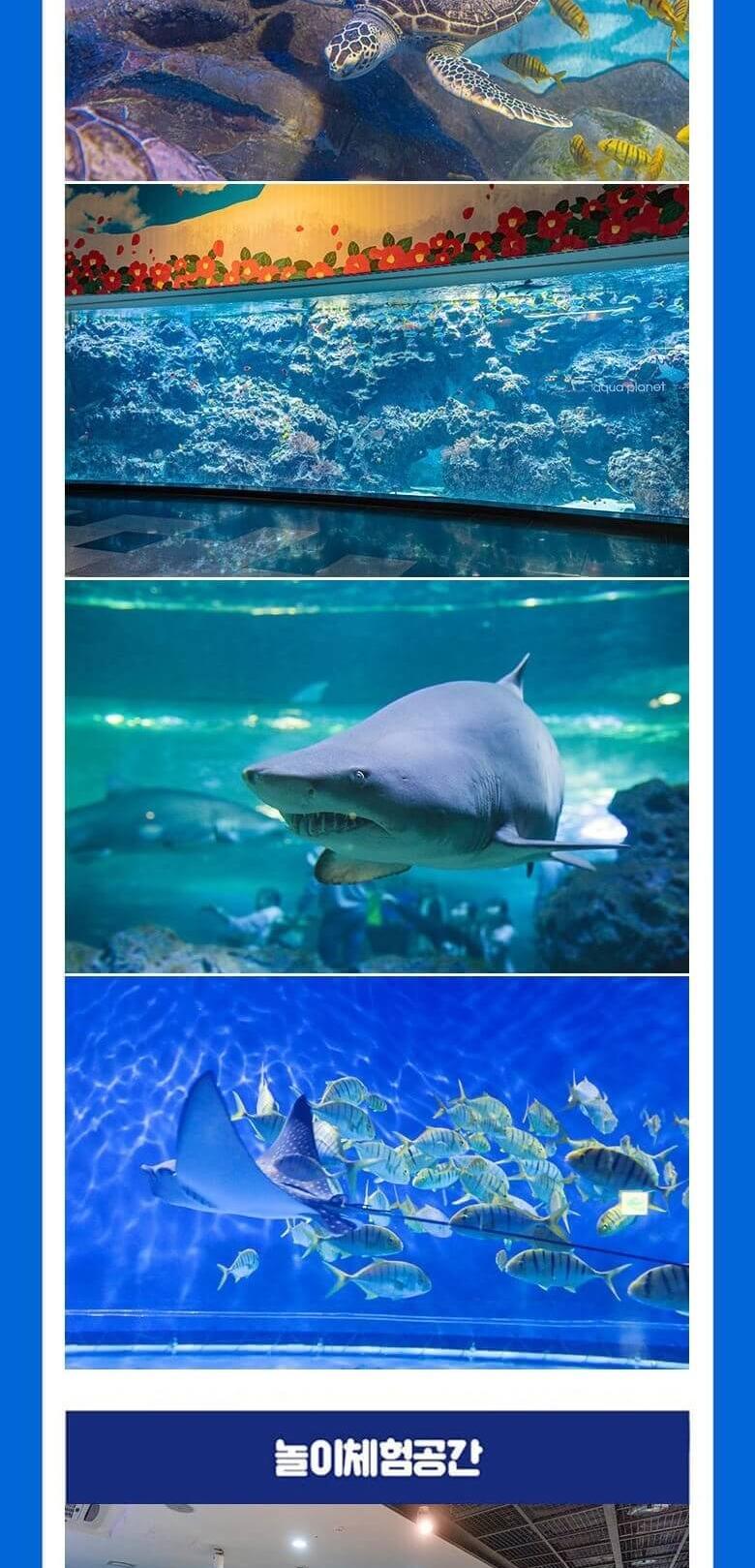 상품 상세 이미지 16