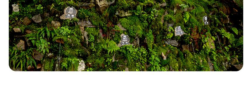 상품 상세 이미지 6