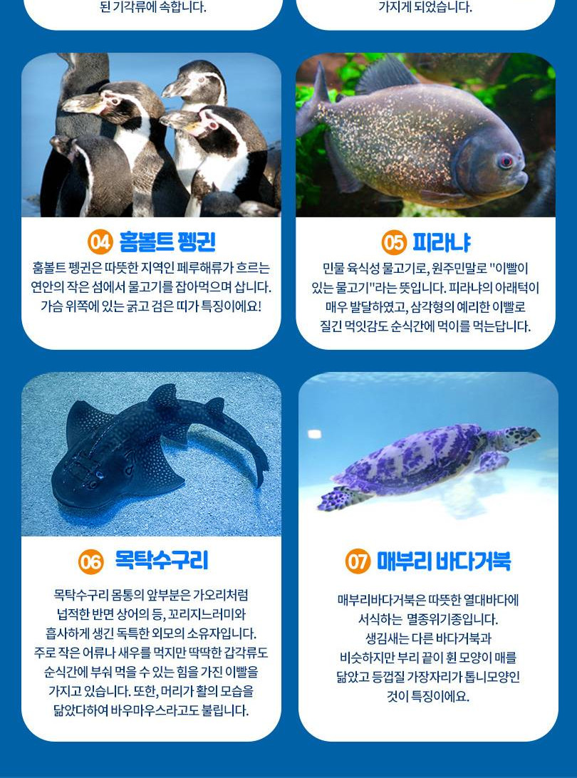 상품 상세 이미지 6