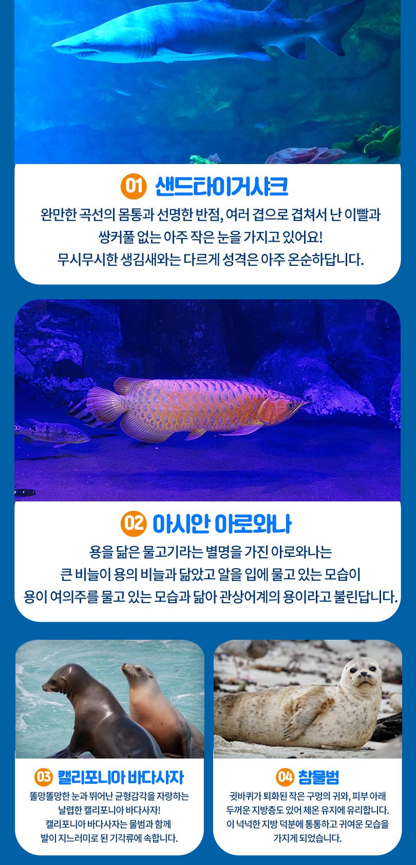 상품 상세 이미지 10