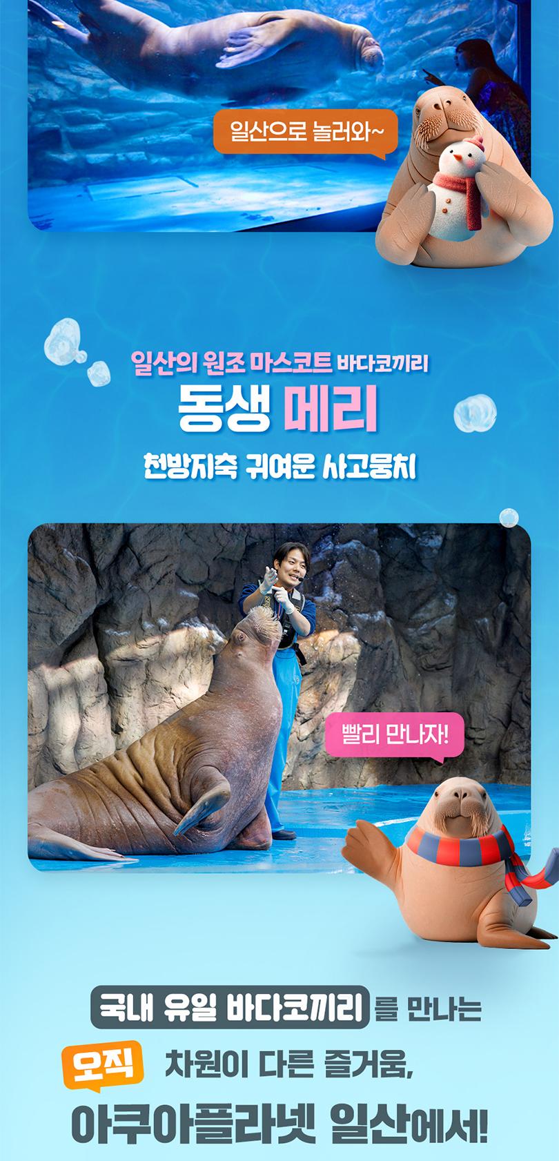 상품 상세 이미지 3