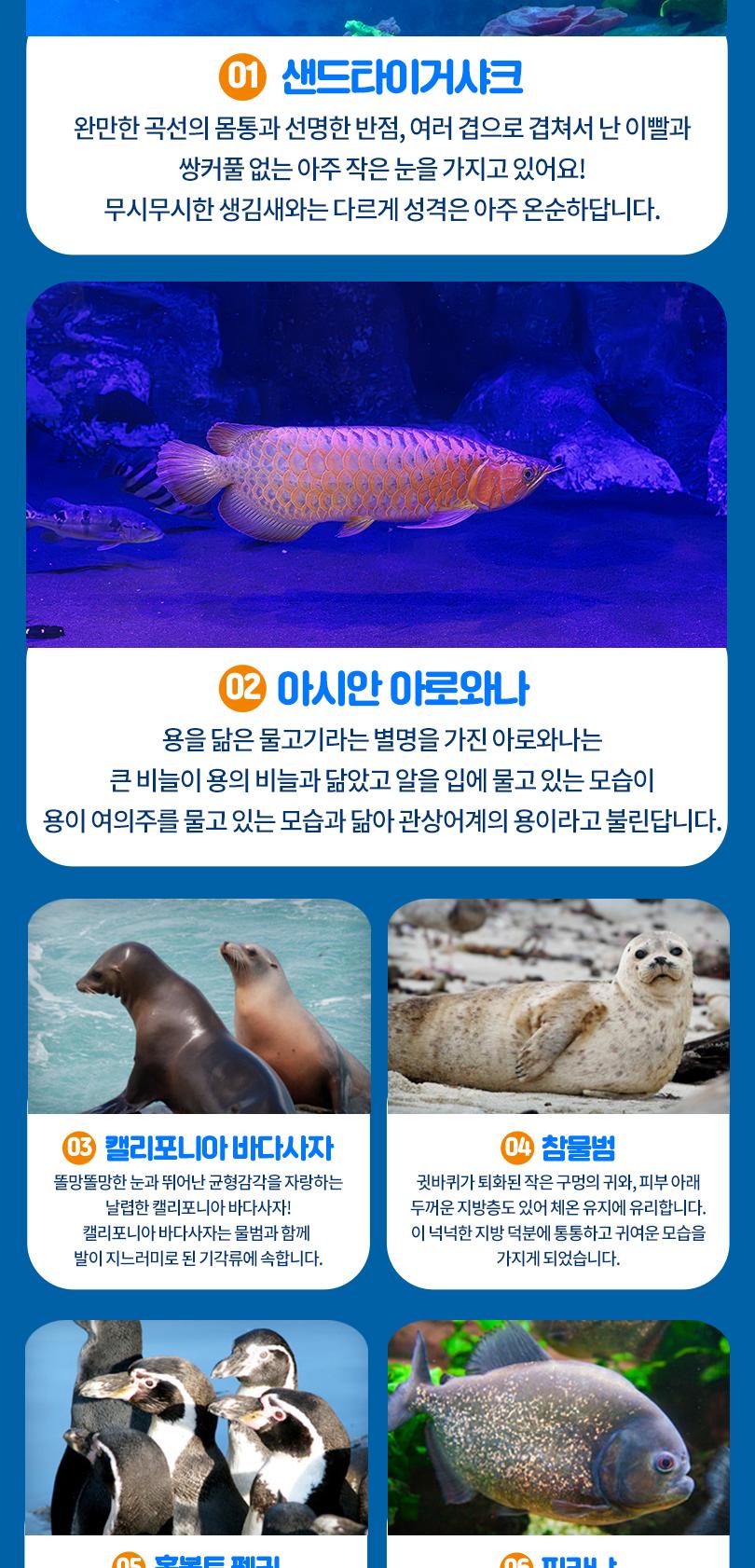 상품 상세 이미지 9