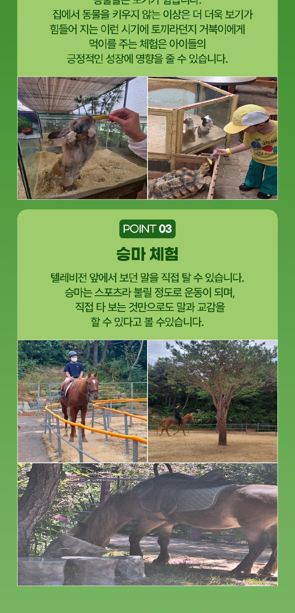 동물의 정원 (동물생태관 및 야외동물원)