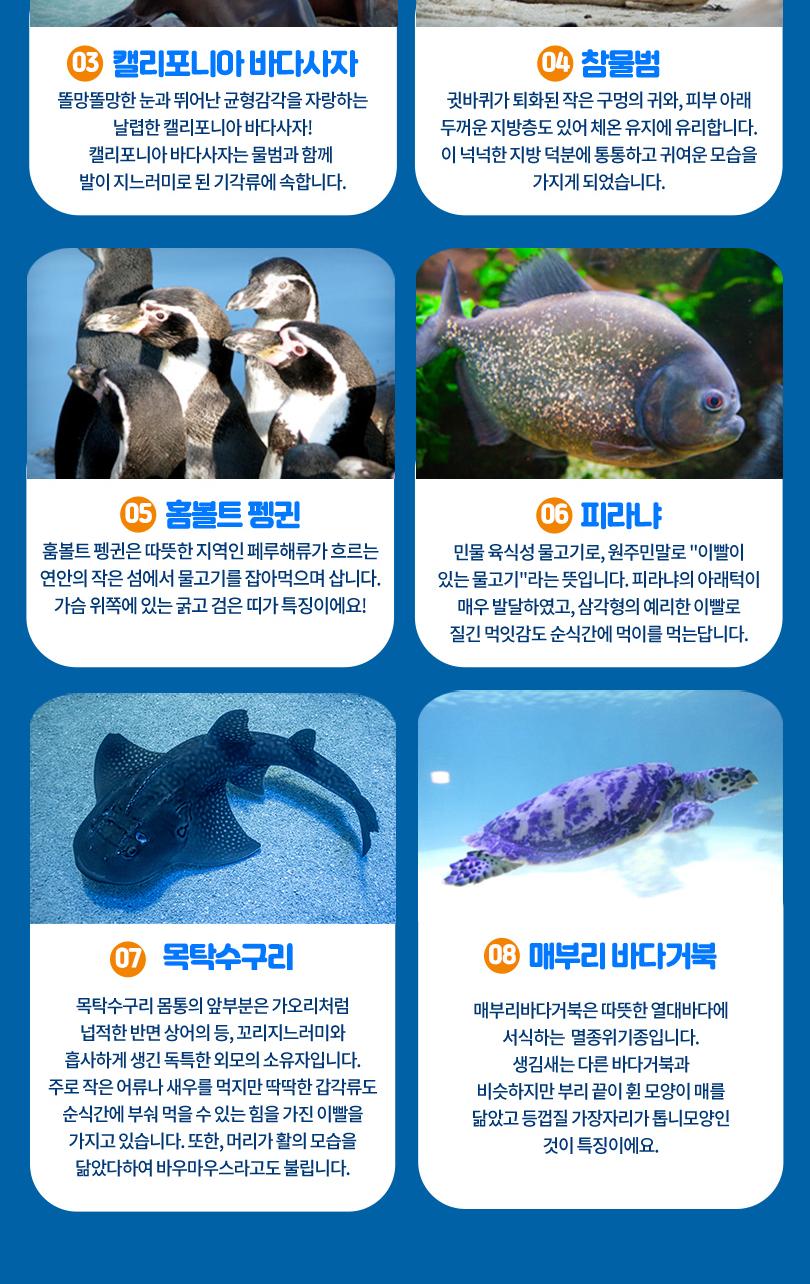 상품 상세 이미지 11