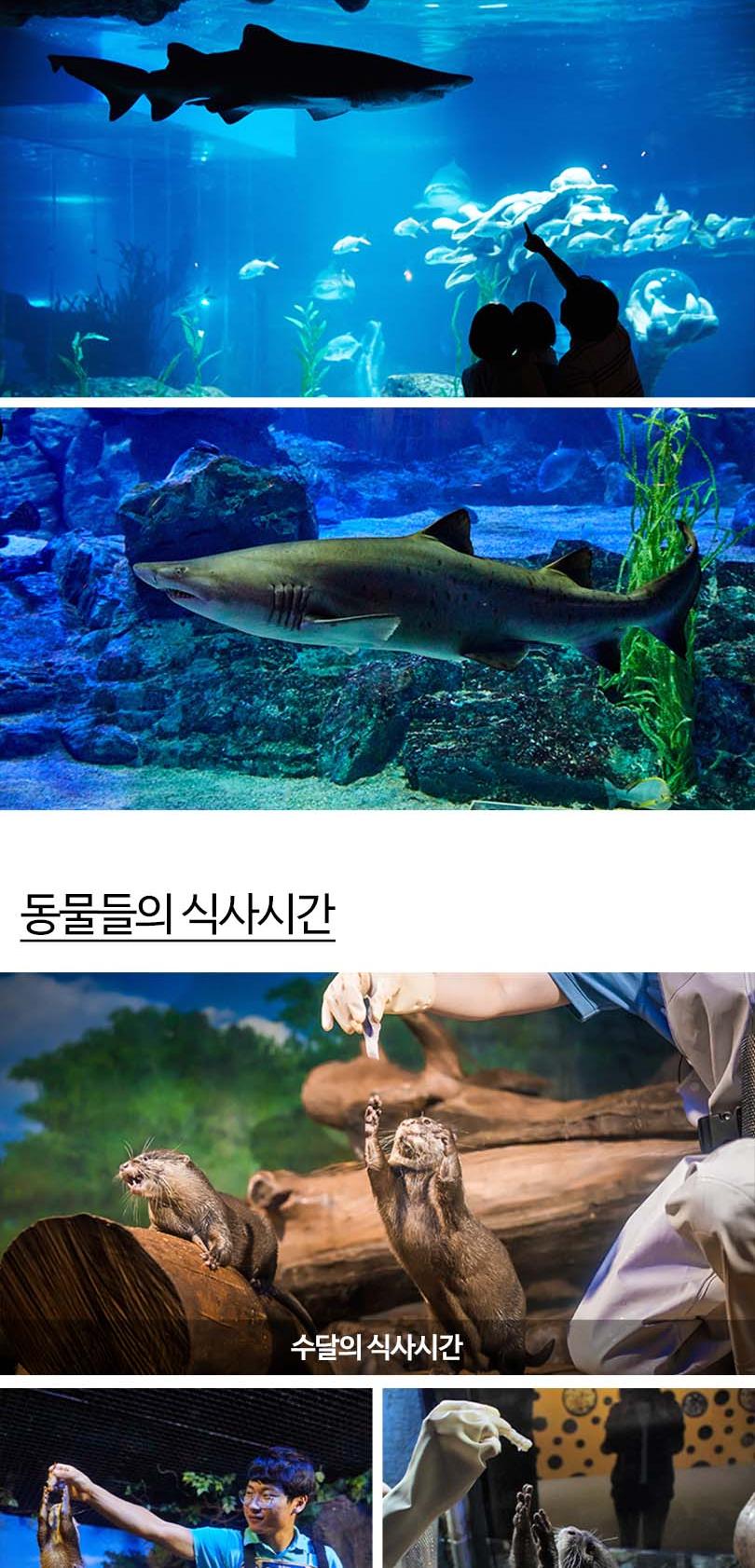 상품 상세 이미지 12