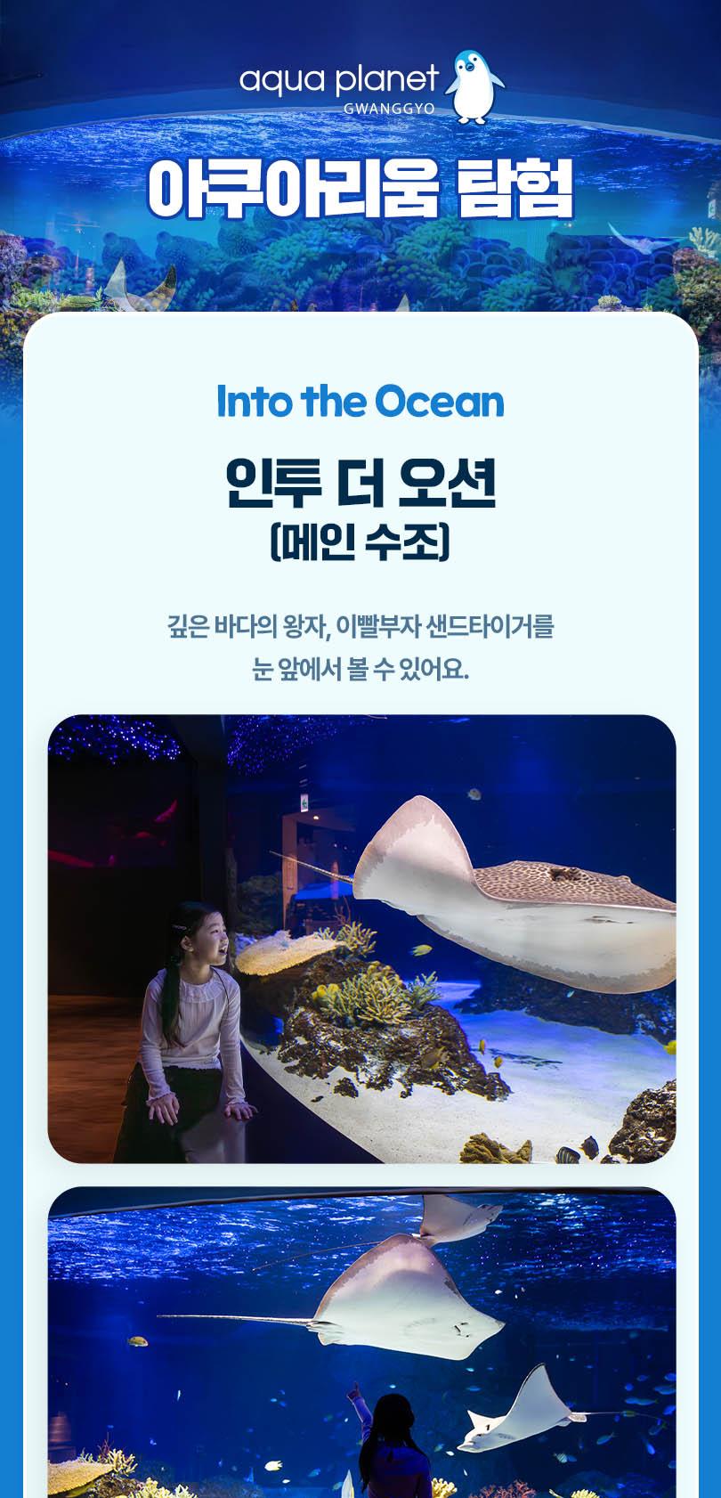 [광교] 아쿠아플라넷 입장권(11/1~11/30)