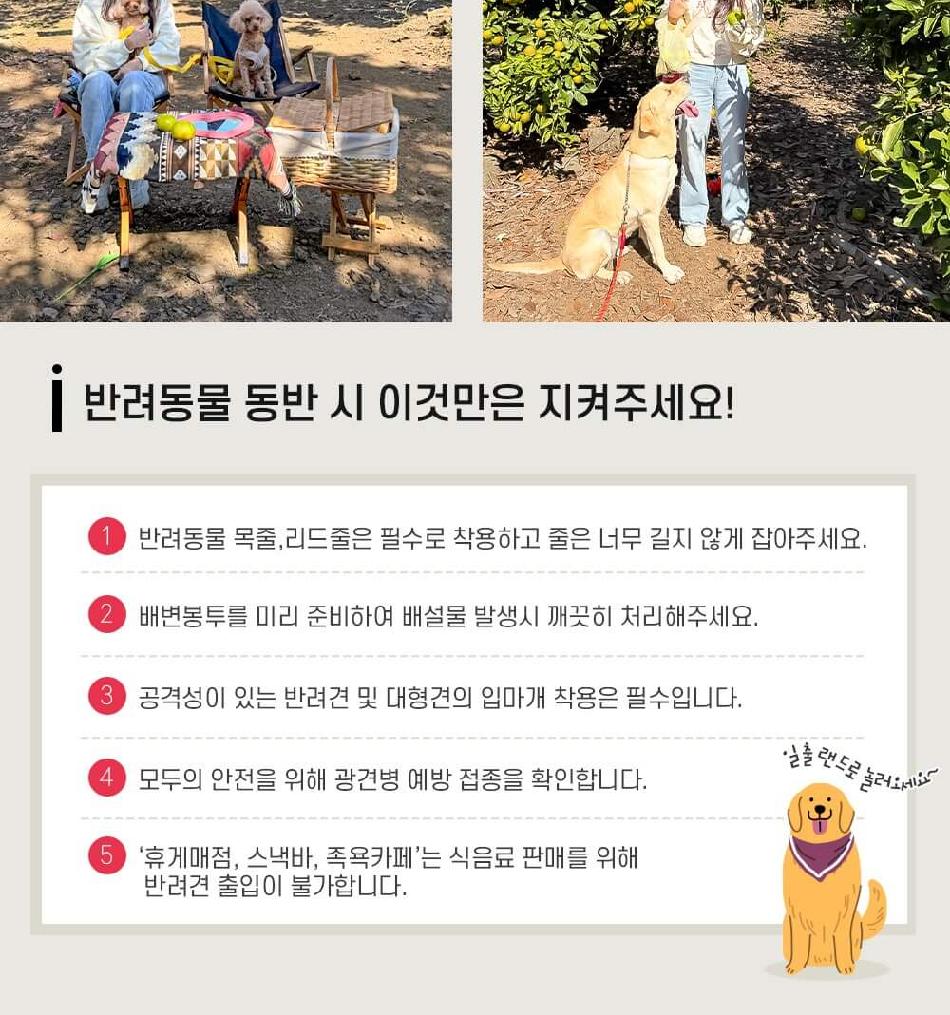 상품 상세 이미지 10