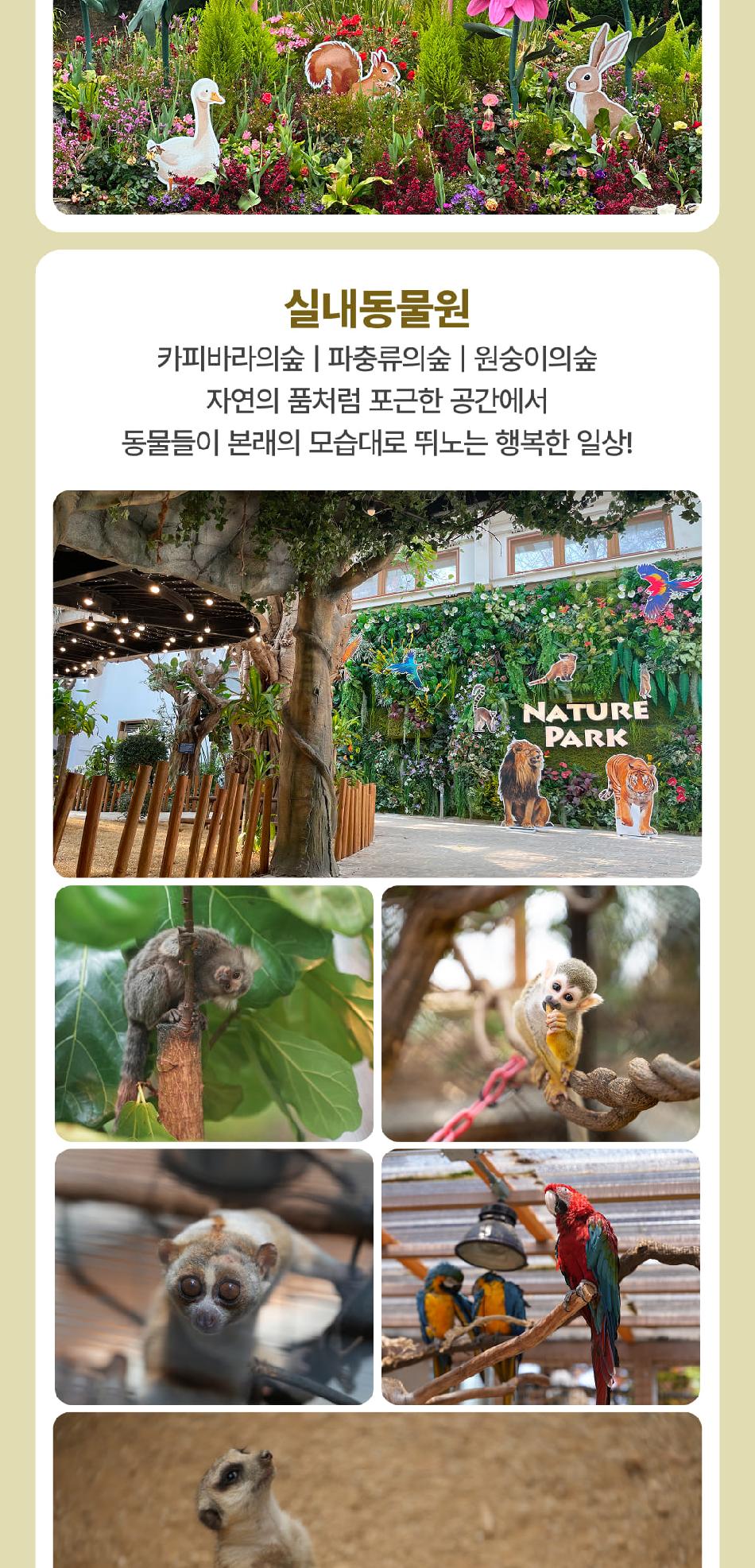 상품 상세 이미지 13