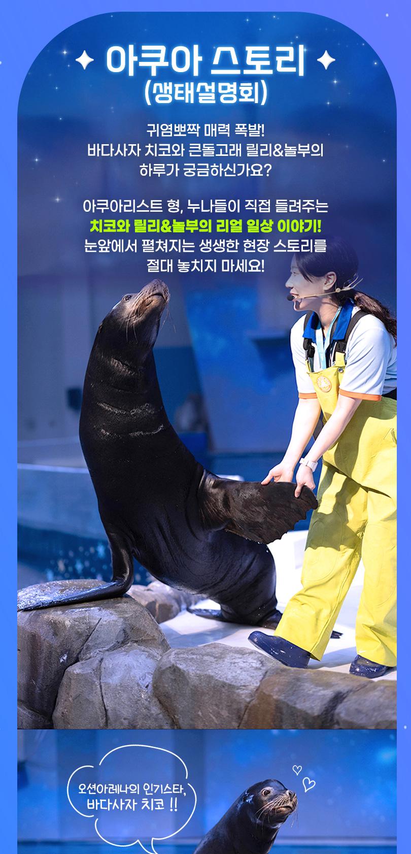 상품 상세 이미지 8