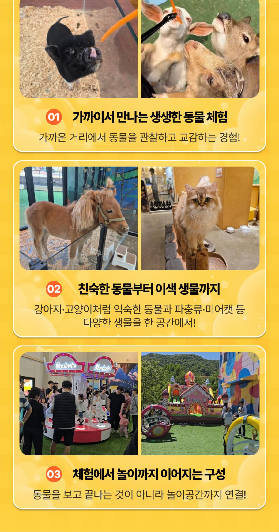 상품 상세 이미지 8