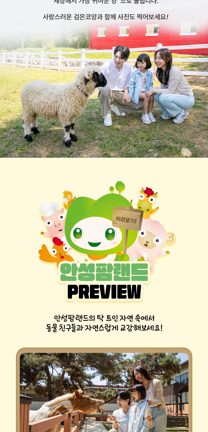 상품 상세 이미지 11