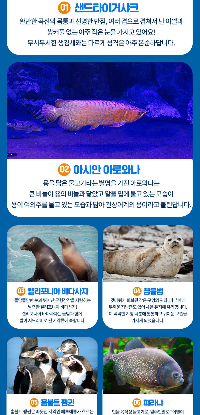 상품 상세 이미지 9