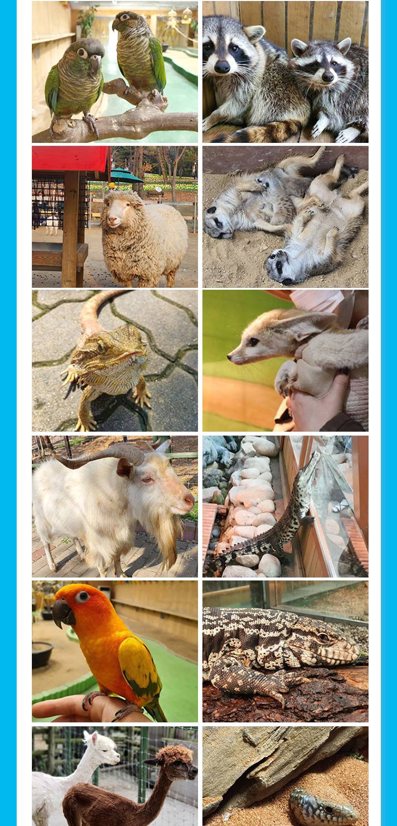 상품 상세 이미지 20