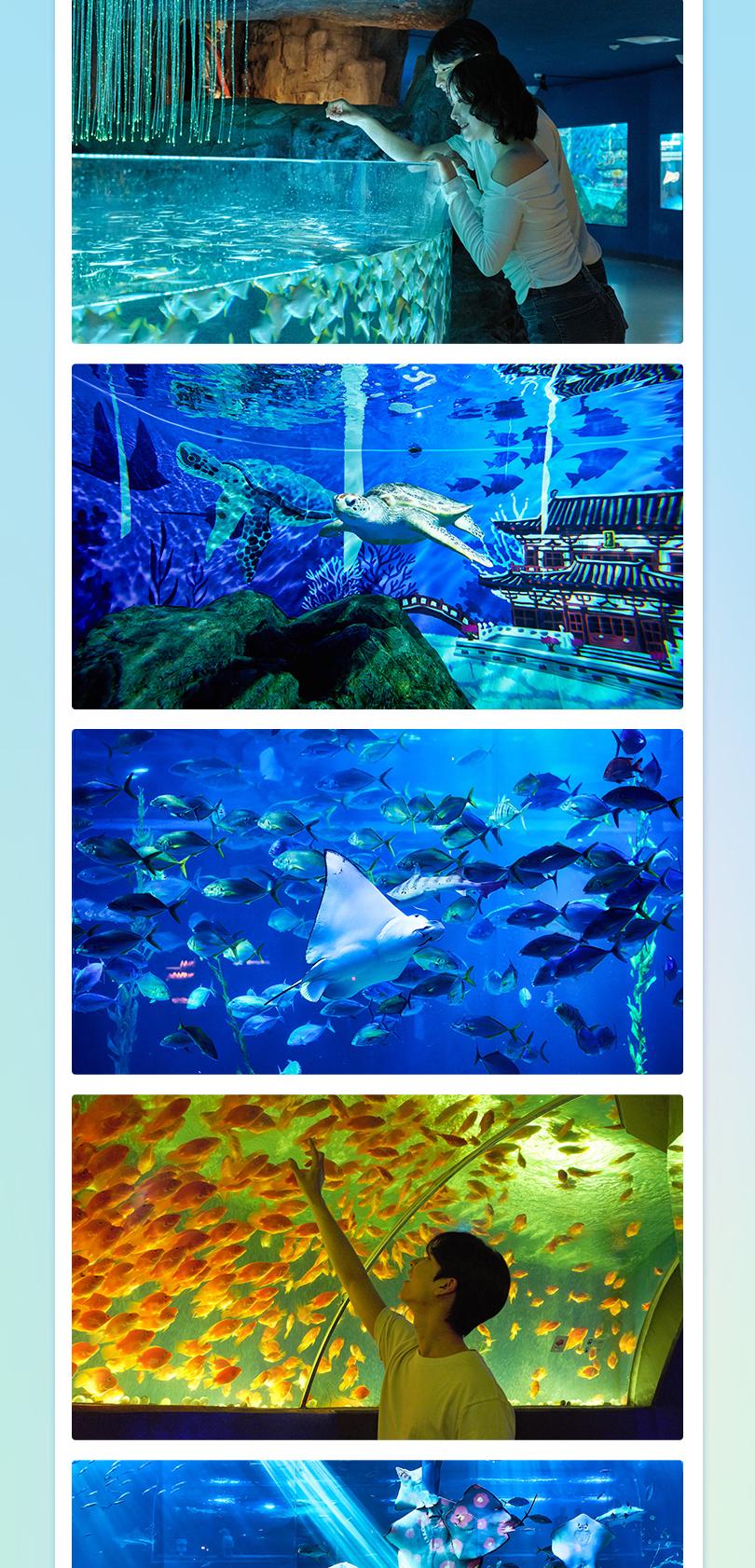 상품 상세 이미지 12