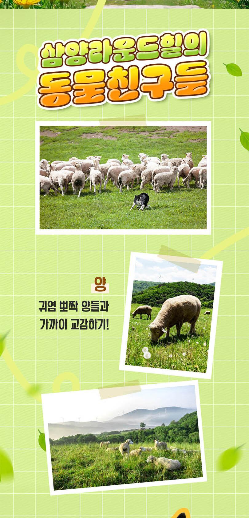 상품 상세 이미지 5