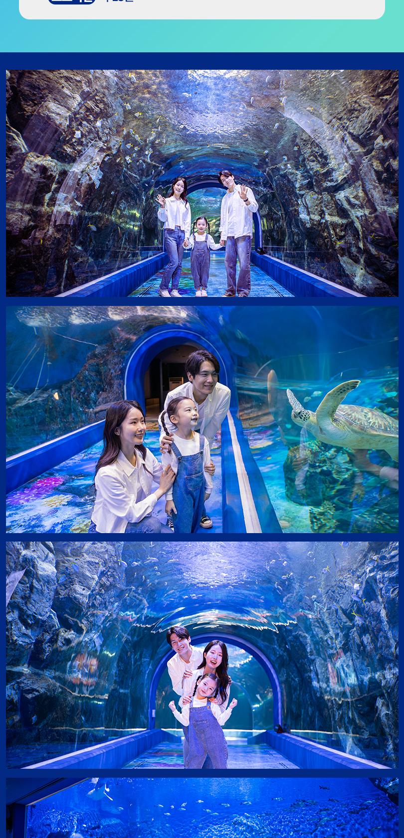 상품 상세 이미지 10