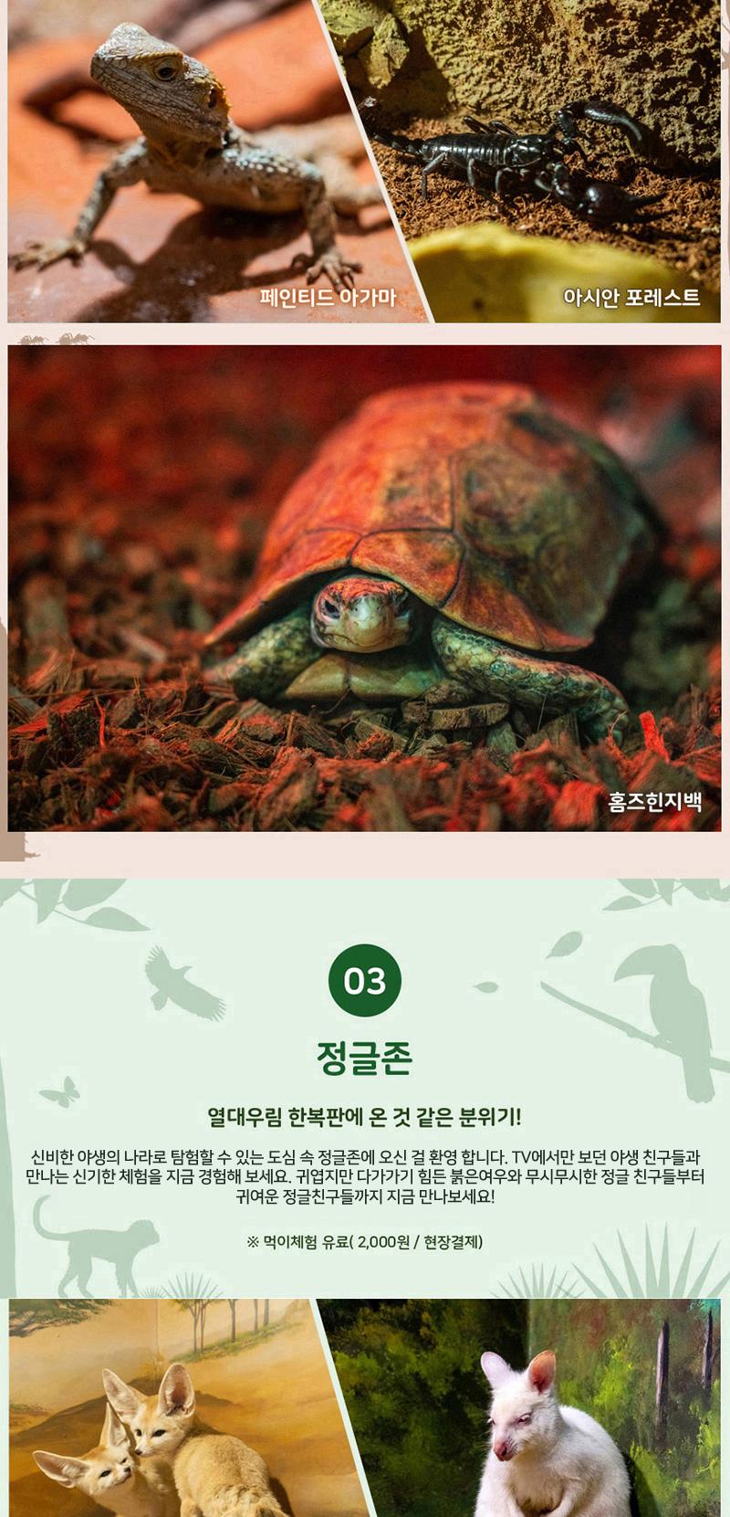 상품 상세 이미지 6