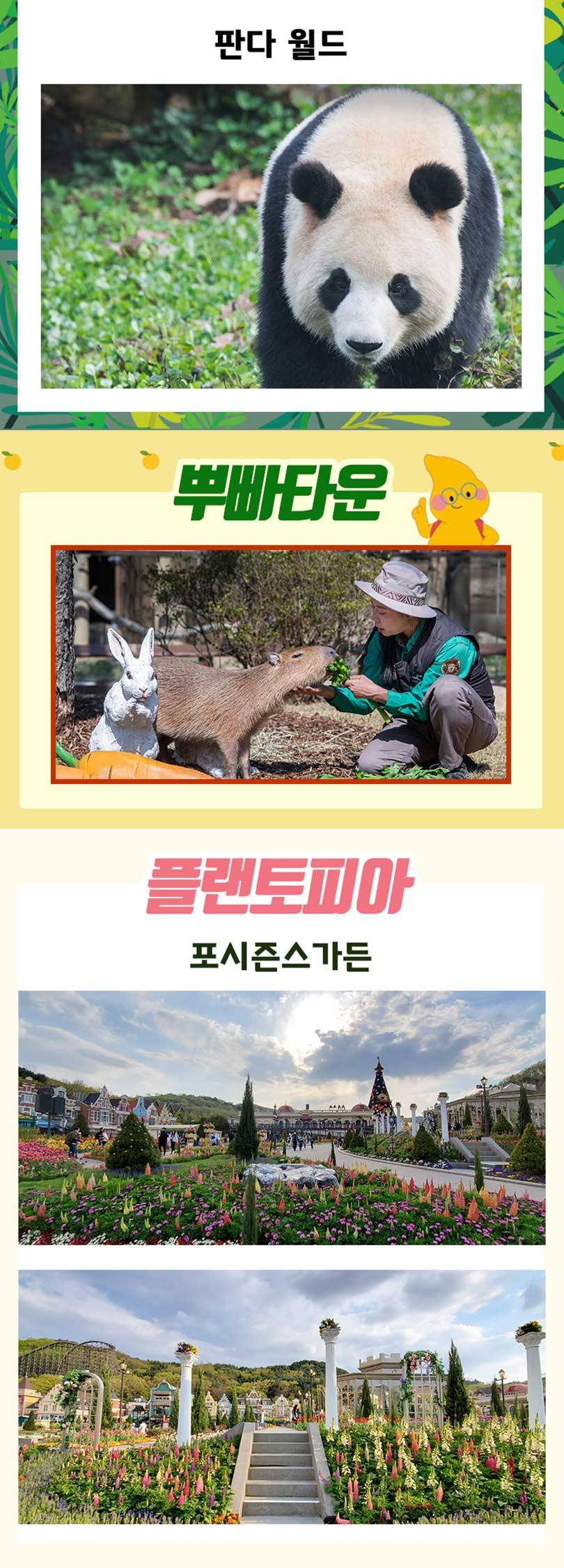 상품 상세 이미지 11