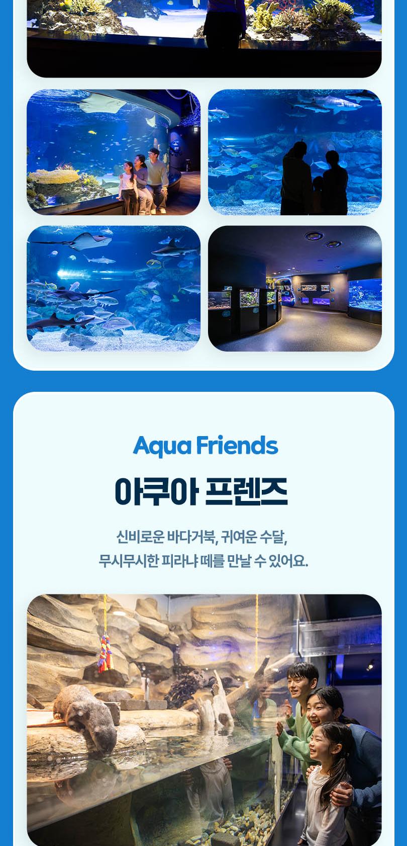 [광교] 아쿠아플라넷 입장권