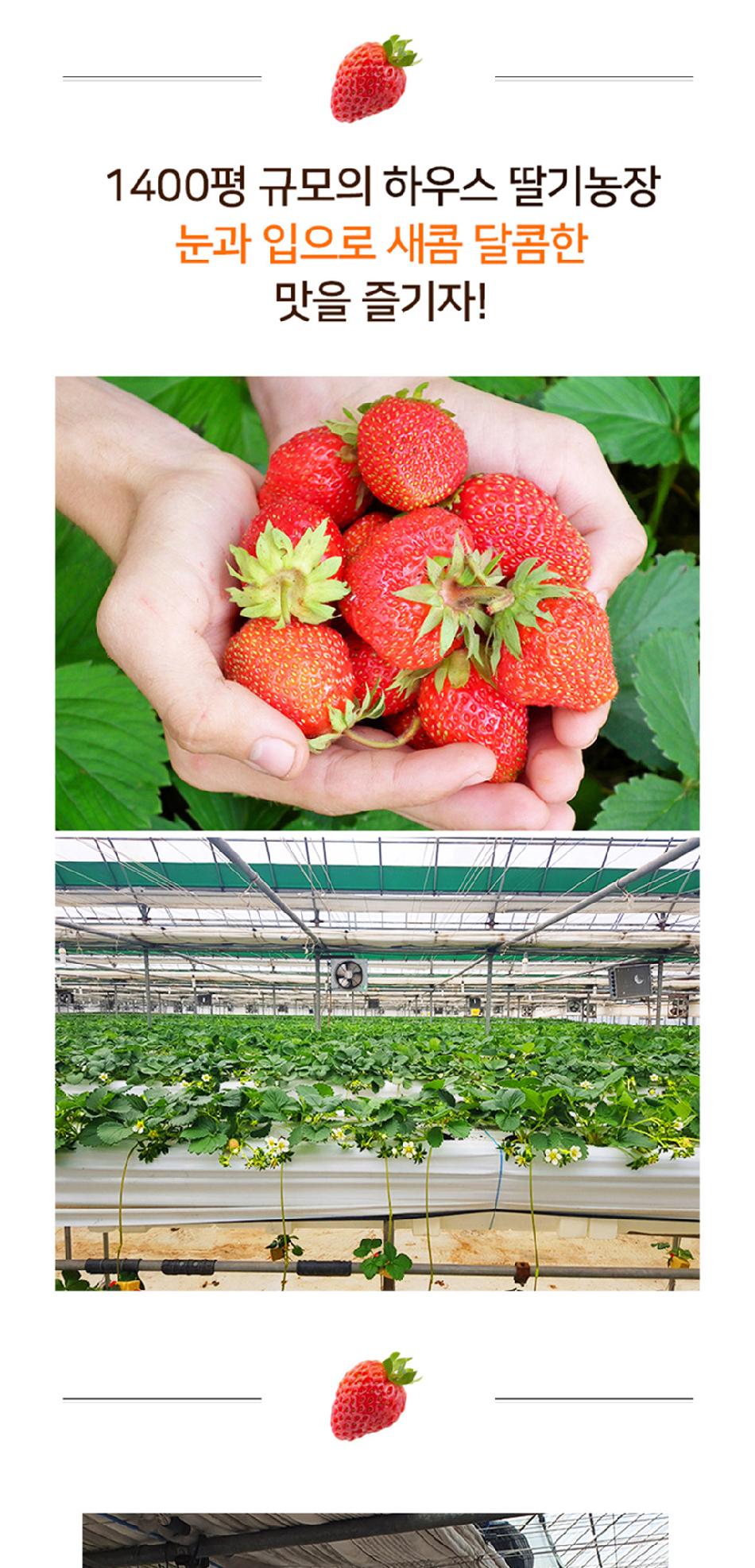 상품 상세 이미지 9