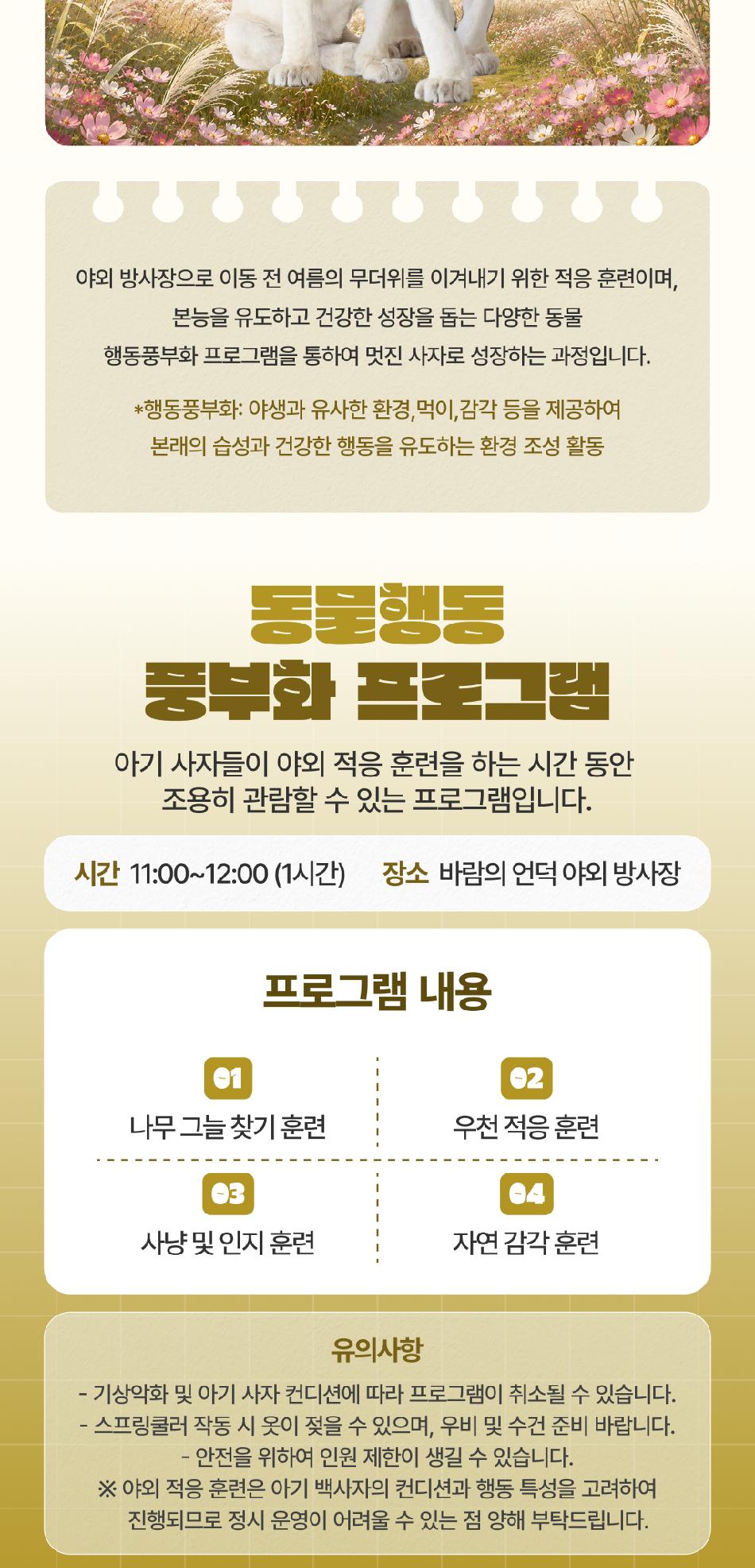 상품 상세 이미지 4