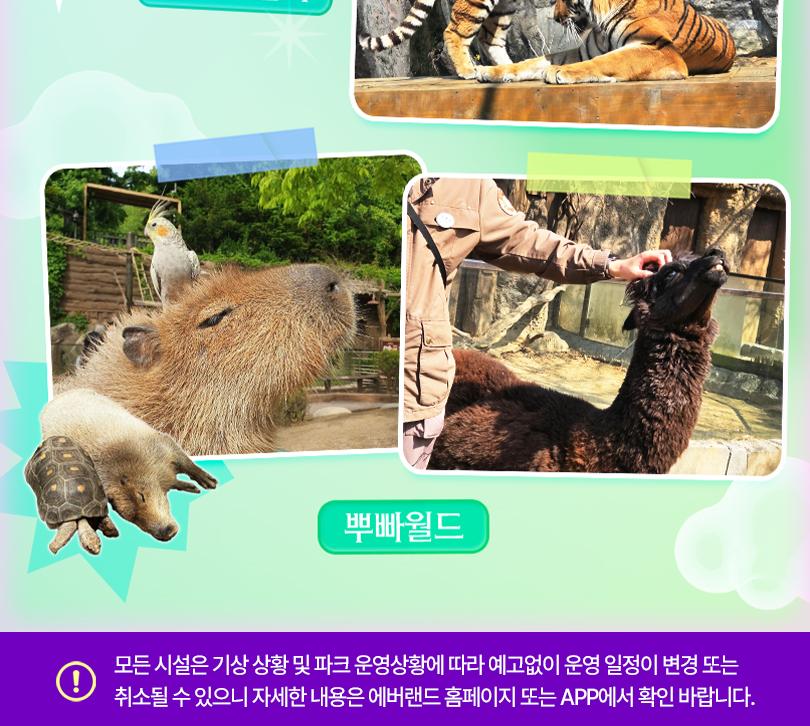 상품 상세 이미지 18