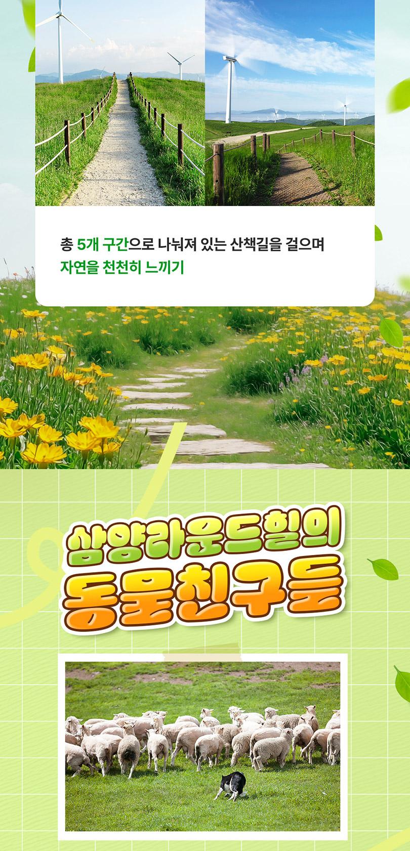 상품 상세 이미지 5