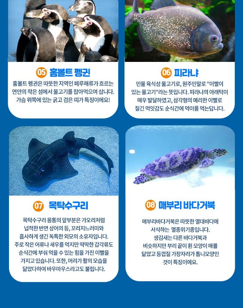 상품 상세 이미지 8