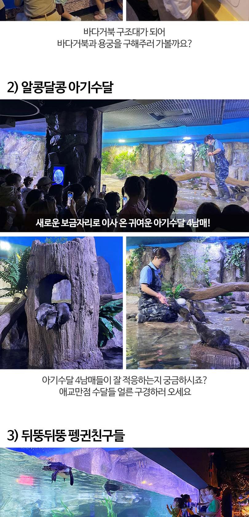 상품 상세 이미지 13
